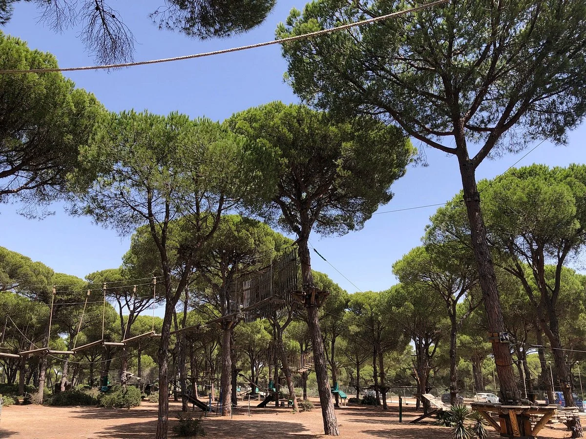 Qué hacer en Conil además de playa: rutas, surf y planes al aire libre