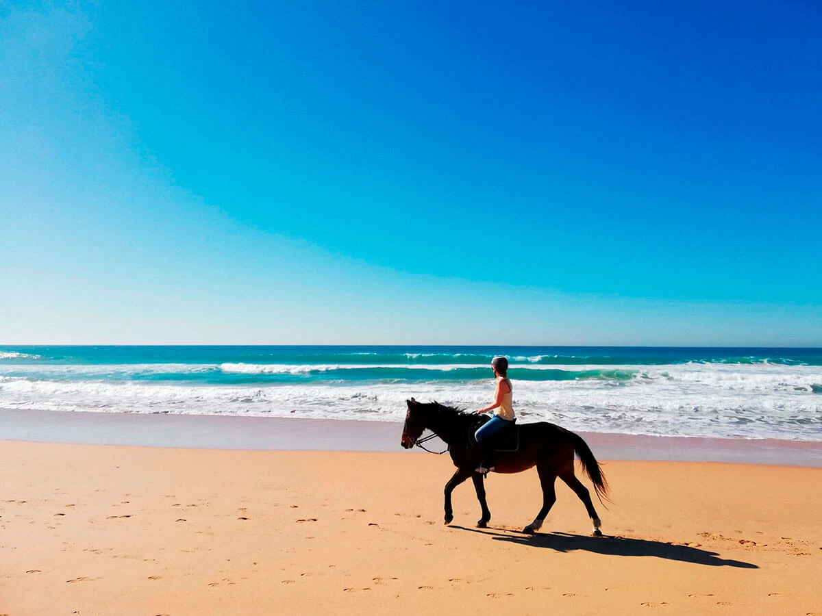 Paseo a caballo en la naturaleza cerca de Conil